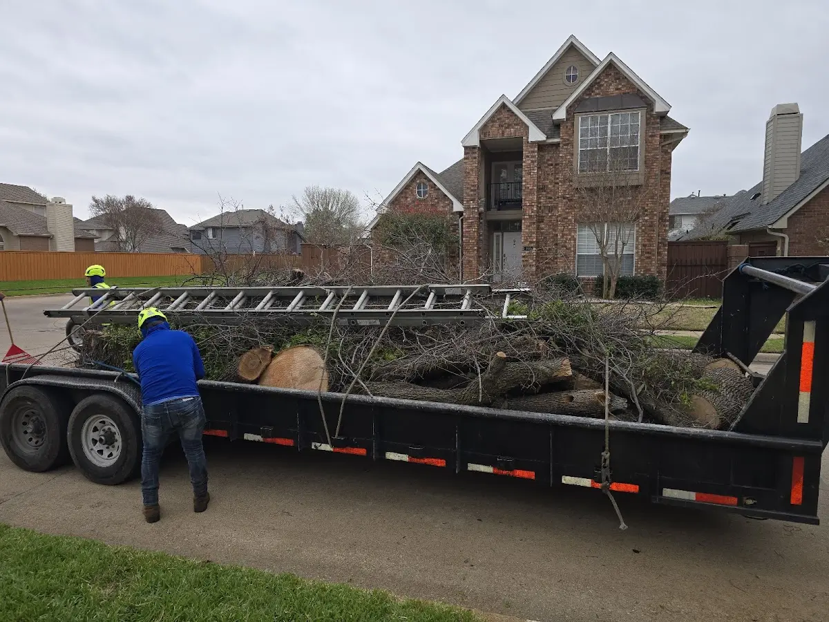 Expert Tree Fertilization with proper safety equipment in Smithburg